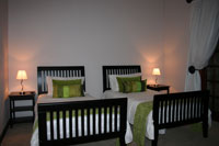 Photo: Burgersdorp gastehuis - Nguni - 21 La Rochelle street