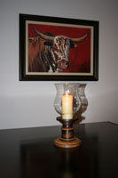 Photo: Burgersdorp gastehuis - Nguni - La Rochelle street