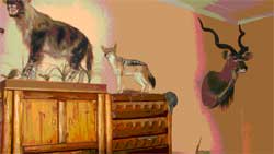 Robbie Hughes se Jagtershuis - burgersdorp - koedoe - jakkals