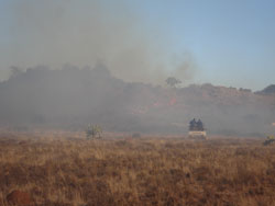 Driving hard to catch break-away fires