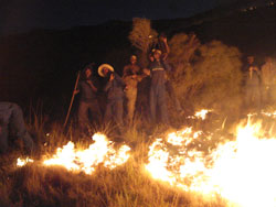 Firefighters - controlled fire