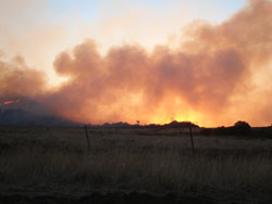 Smoke clouds with sun setting