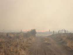 Stopped fire - firestop worked