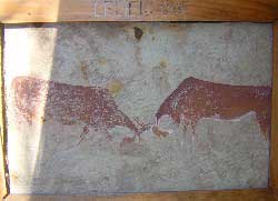 Leliekloof rotskuns - 2 Elande