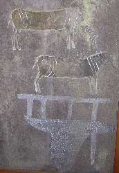 Spookplaas rotskuns - berg kwagga (soos zebra)